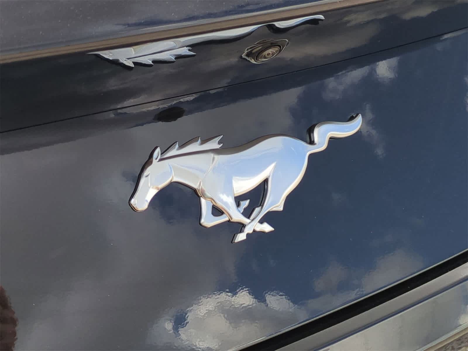 Thumbnail: 2025 Ford Mustang - 29