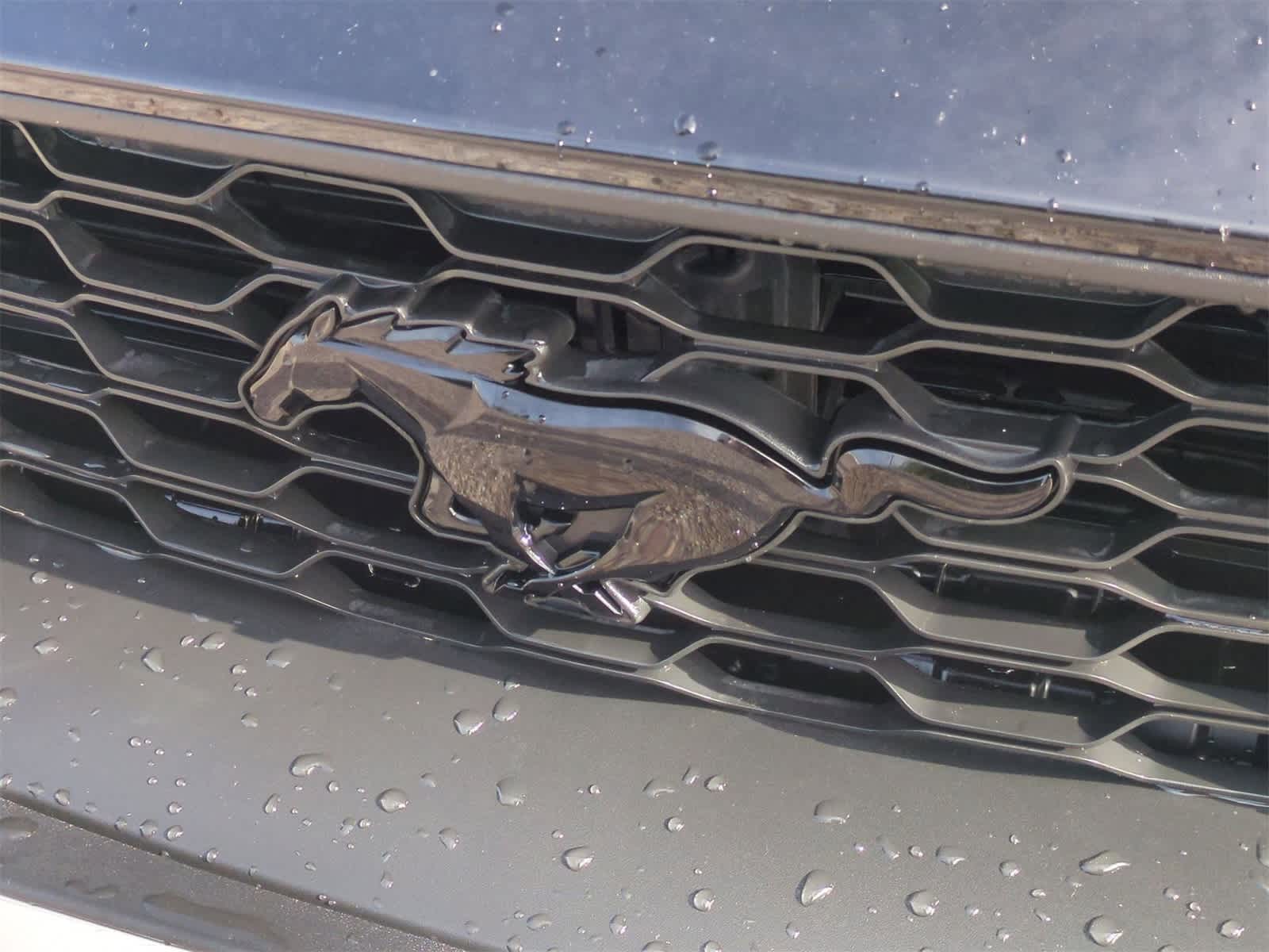 Thumbnail: 2022 Ford Mustang - 28