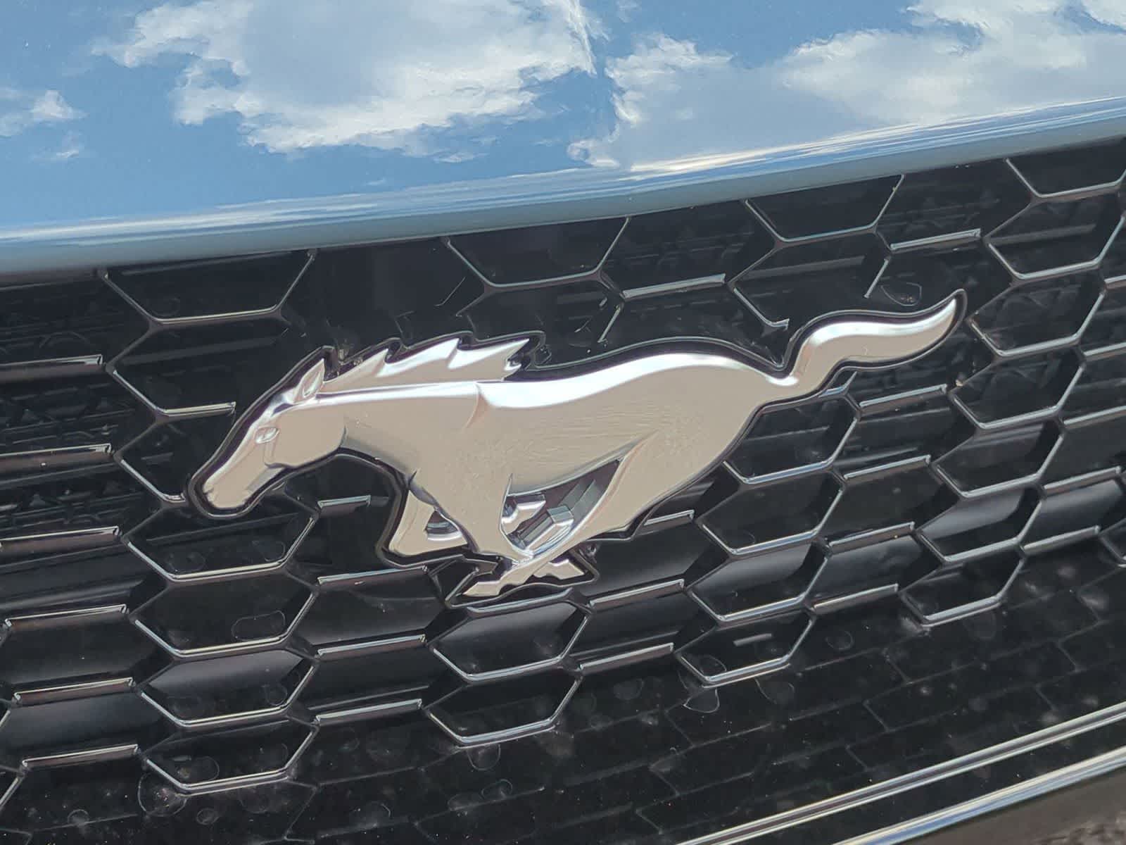 Thumbnail: 2025 Ford Mustang - 29