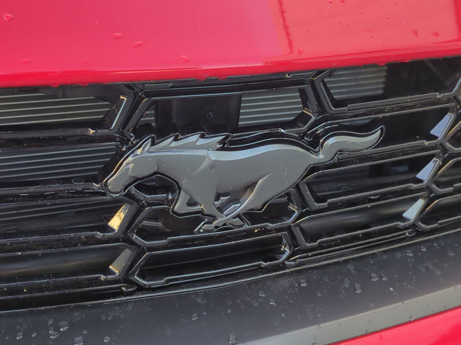 2025 Ford Mustang Dark Horse - Photo 29