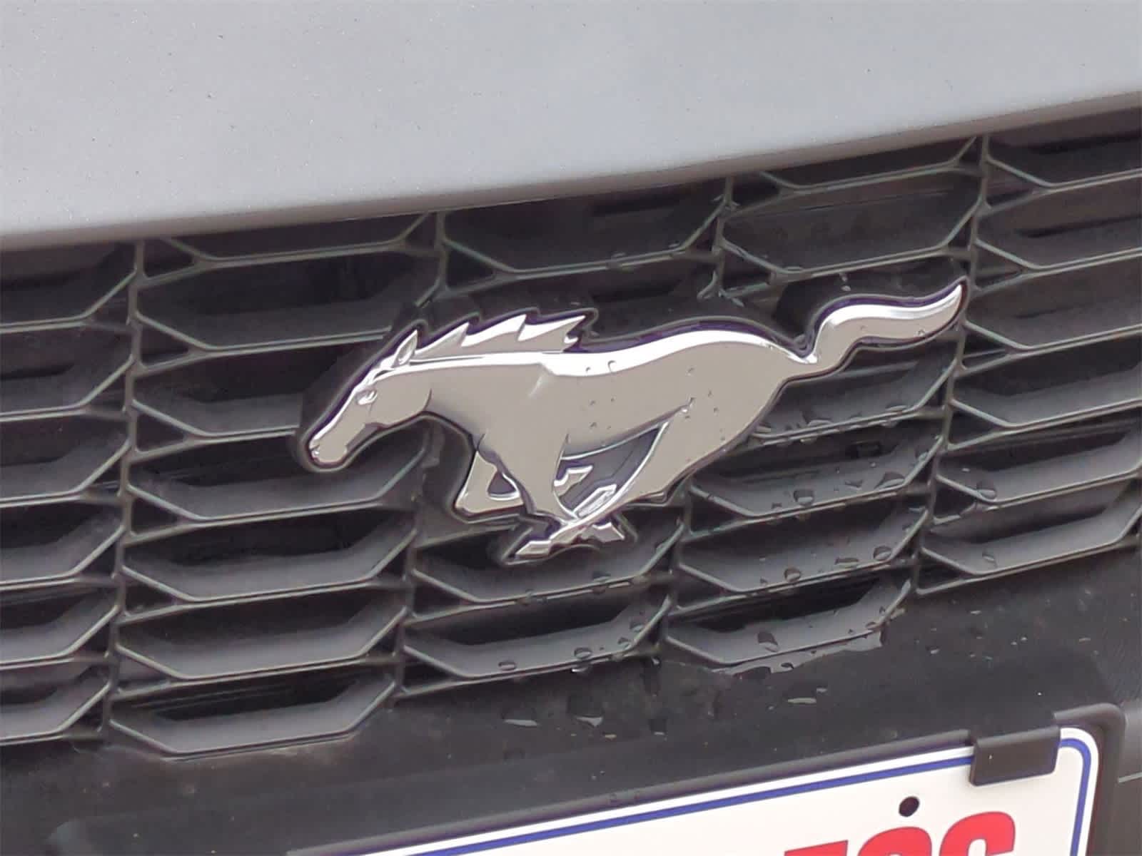 Thumbnail: 2026 Ford Mustang - 28