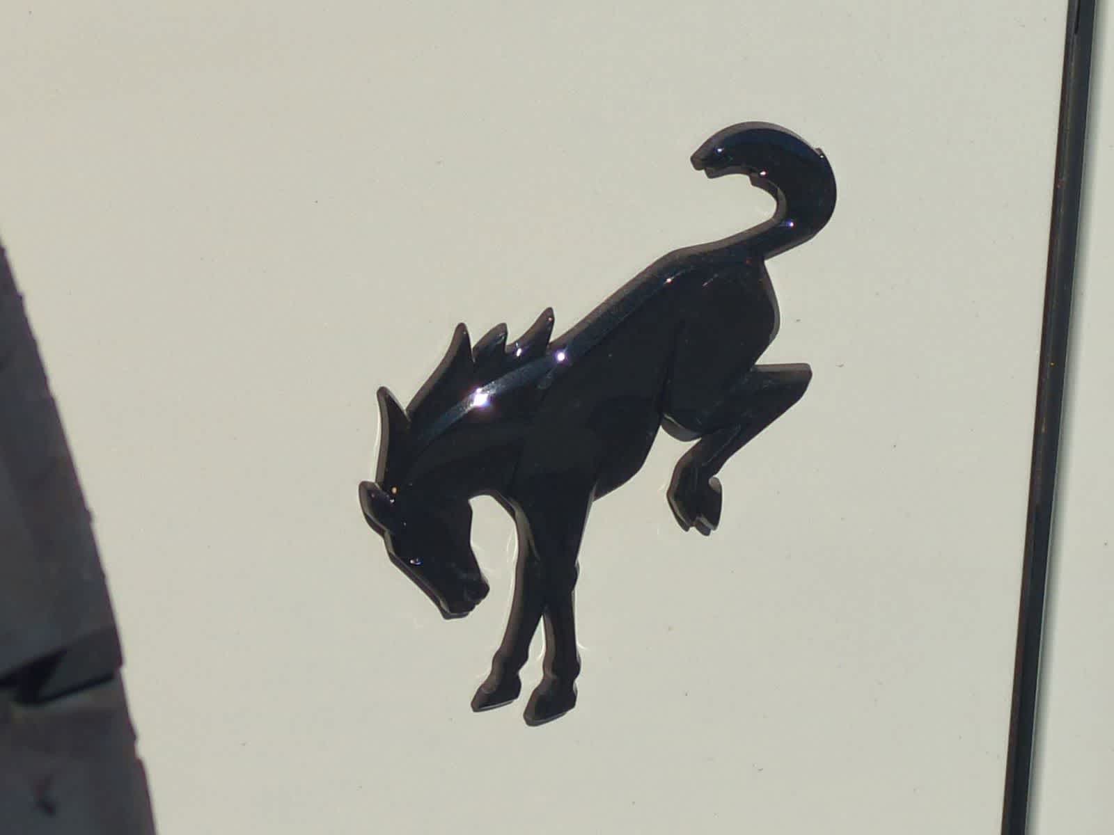 Thumbnail: 2025 Ford Bronco - 31