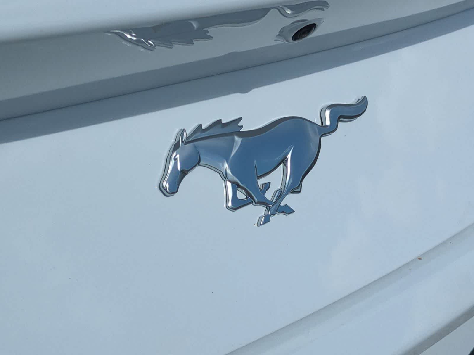 Thumbnail: 2025 Ford Mustang - 29