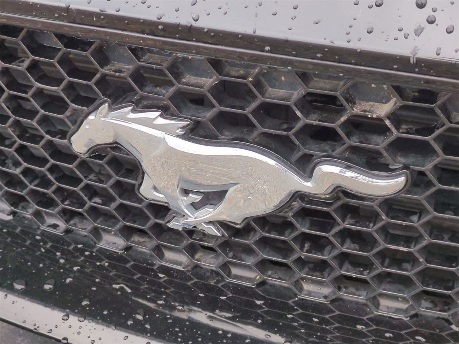 Thumbnail: 2021 Ford Mustang - 29