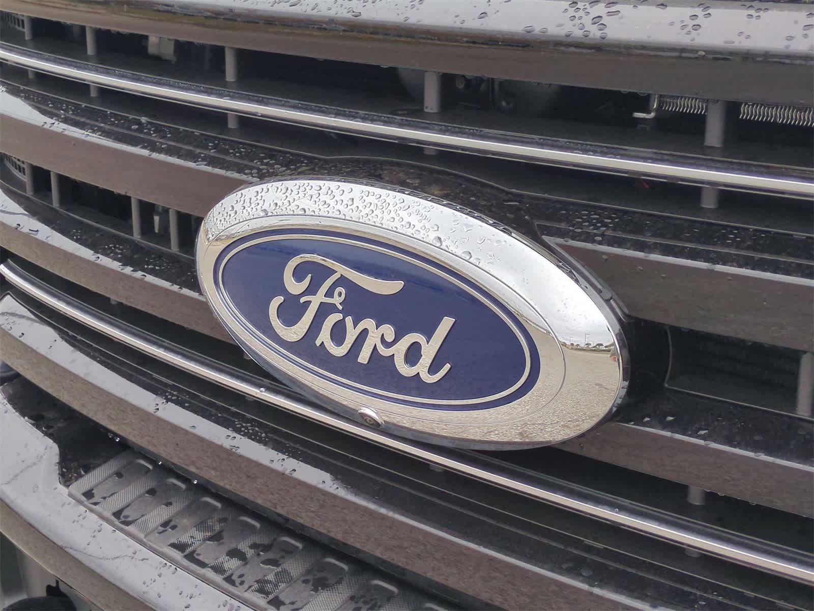 2025 Ford F-250 Platinum 31