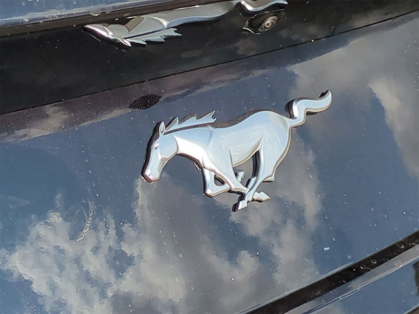 Thumbnail: 2026 Ford Mustang - 29