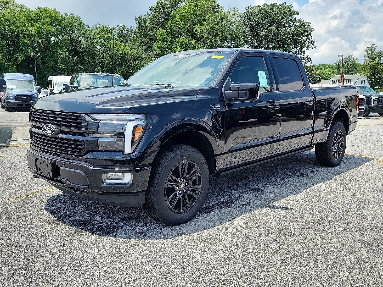 2025 Ford F-150 Platinum photo 3