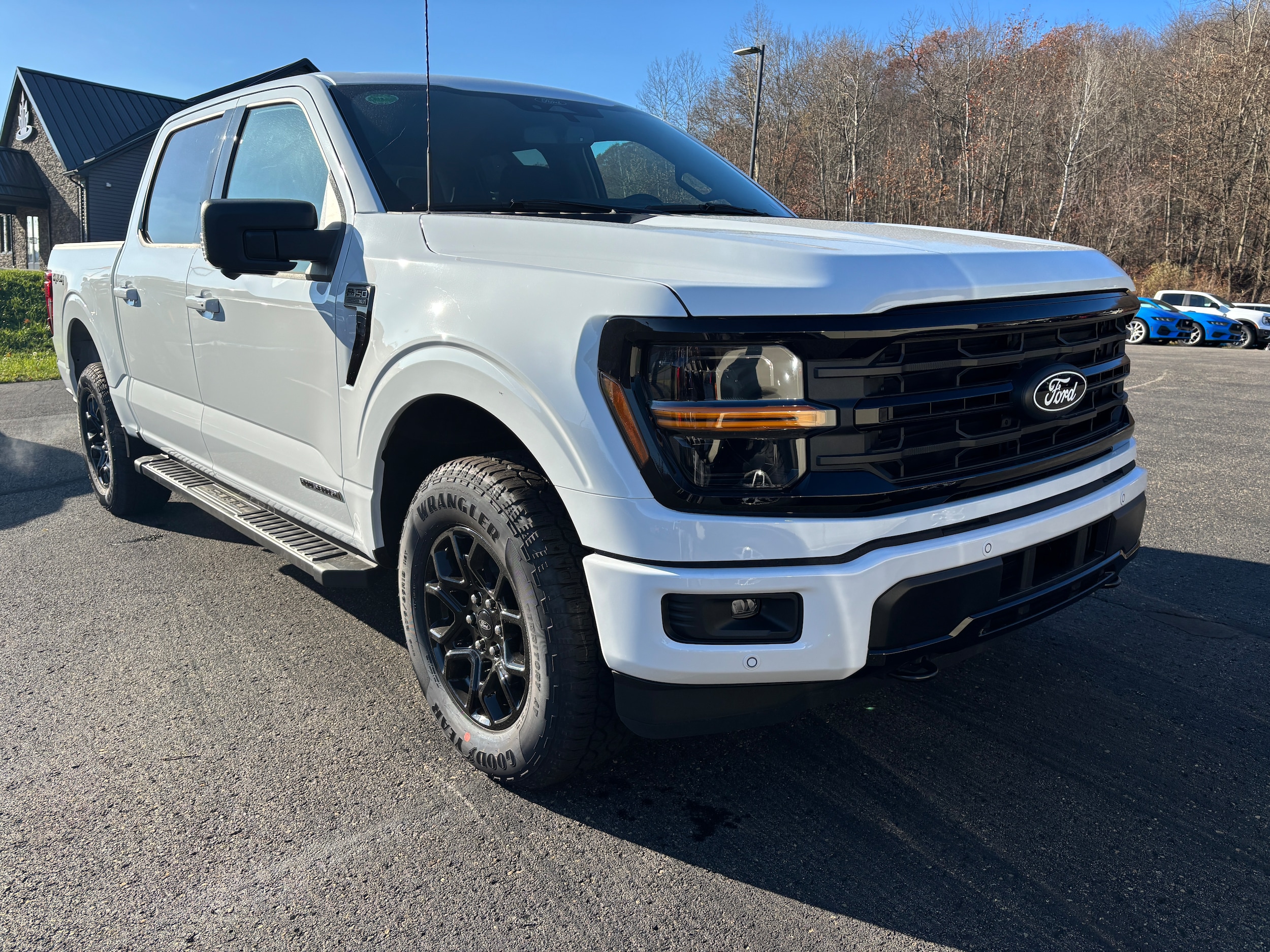 2025 Ford F-150 XLT's photo