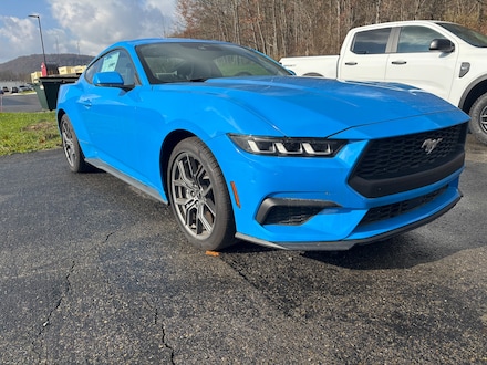 2024 Ford Mustang Ecoboost Coupe CAR