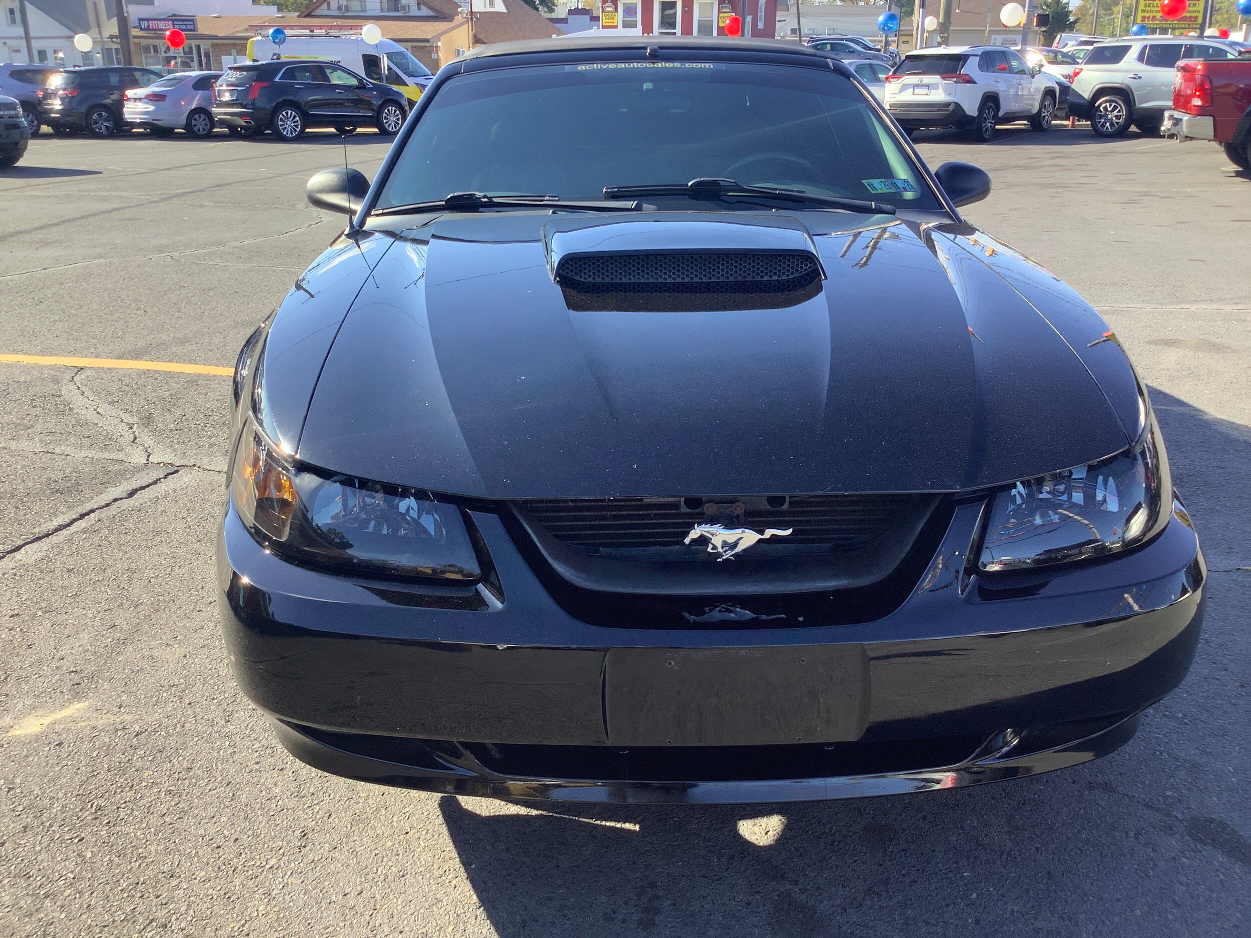 2004 Ford Mustang GT Deluxe Convertible photo 2