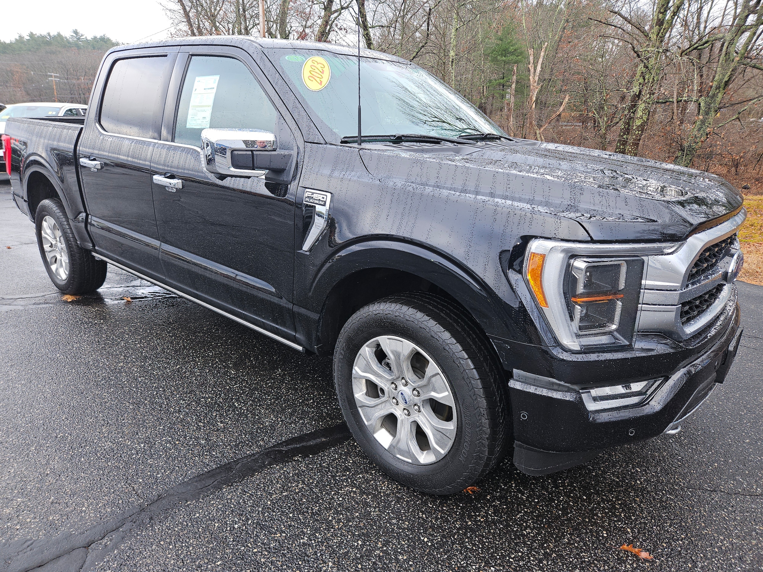 2023 Ford F-150 Platinum's photo
