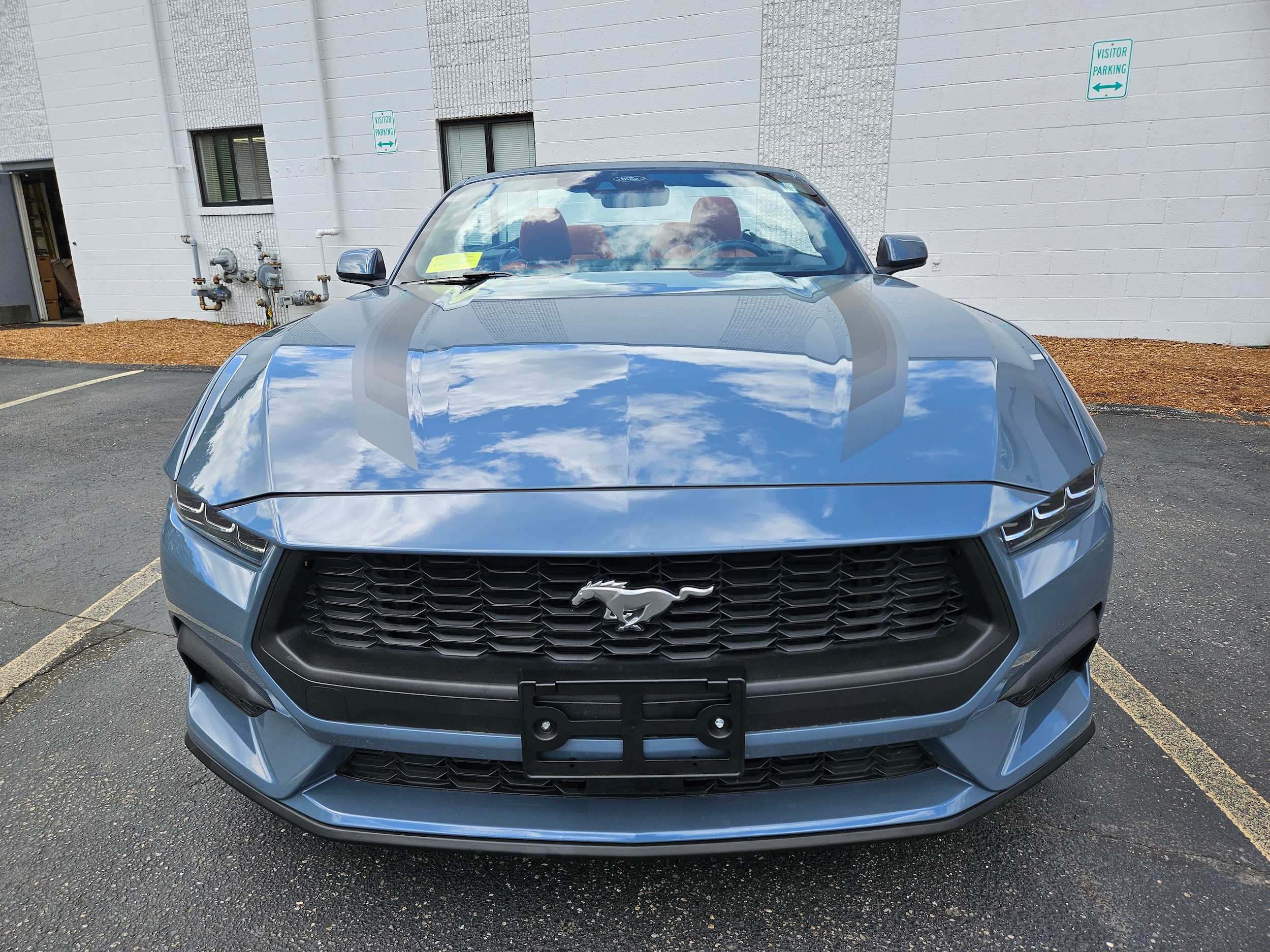 Certified 2024 Ford Mustang EcoBoost Premium with VIN 1FAGP8UH7R5100336 for sale in Acton, MA