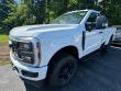 2024 Ford Super Duty XL Regular Cab Pickup