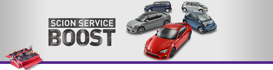Scion business plan help