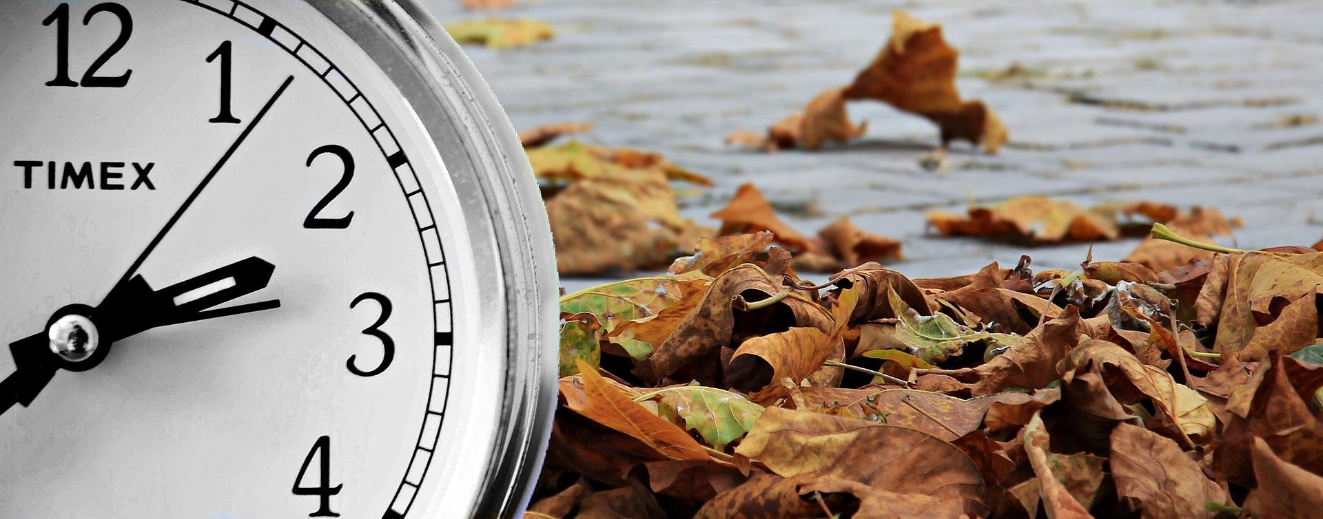 Daylight Savings Time - Duluth, GA