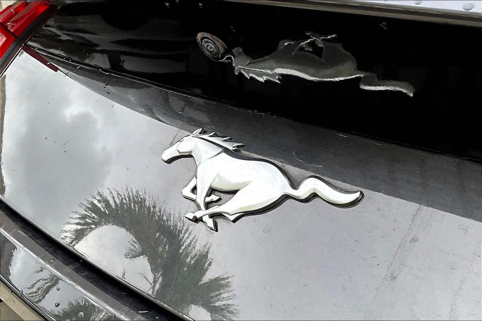 Thumbnail: 2024 Ford Mustang - 8