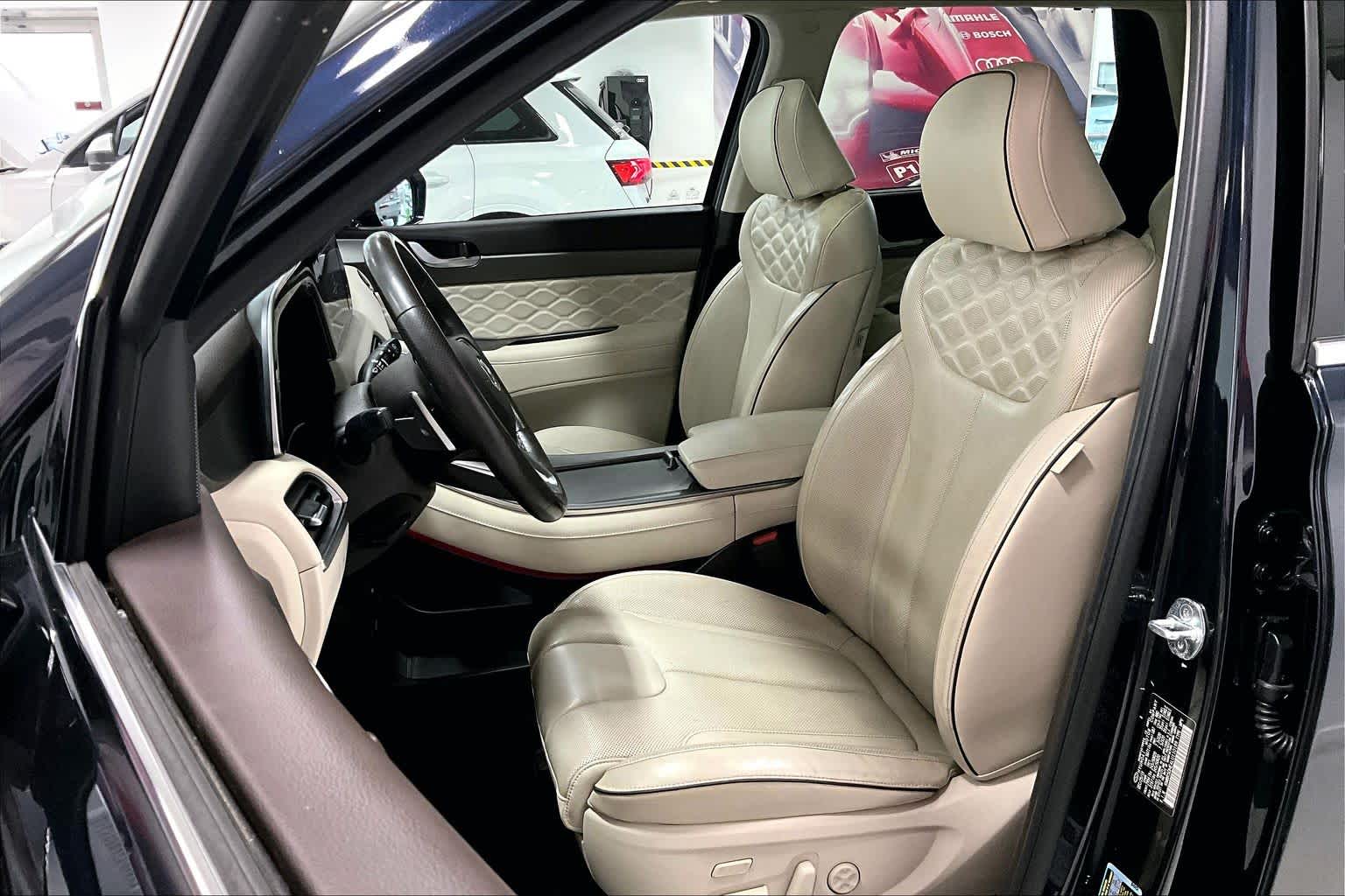 Thumbnail: 2020 Hyundai Palisade - 10