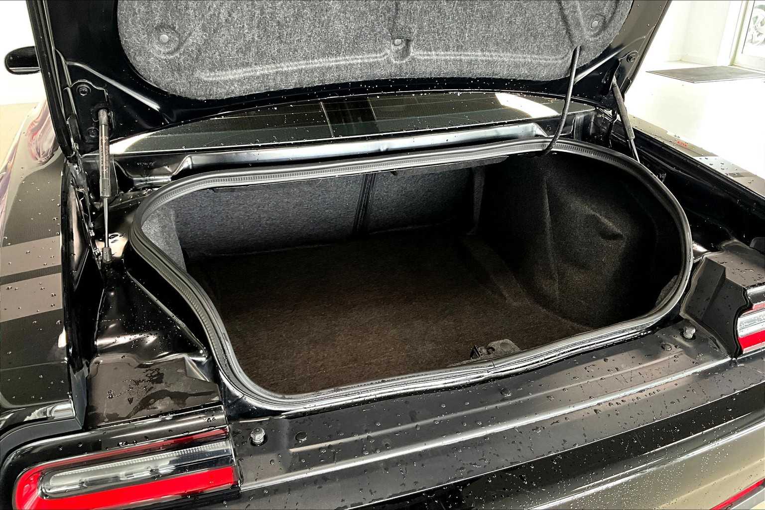 Thumbnail: 2019 Dodge Challenger - 16