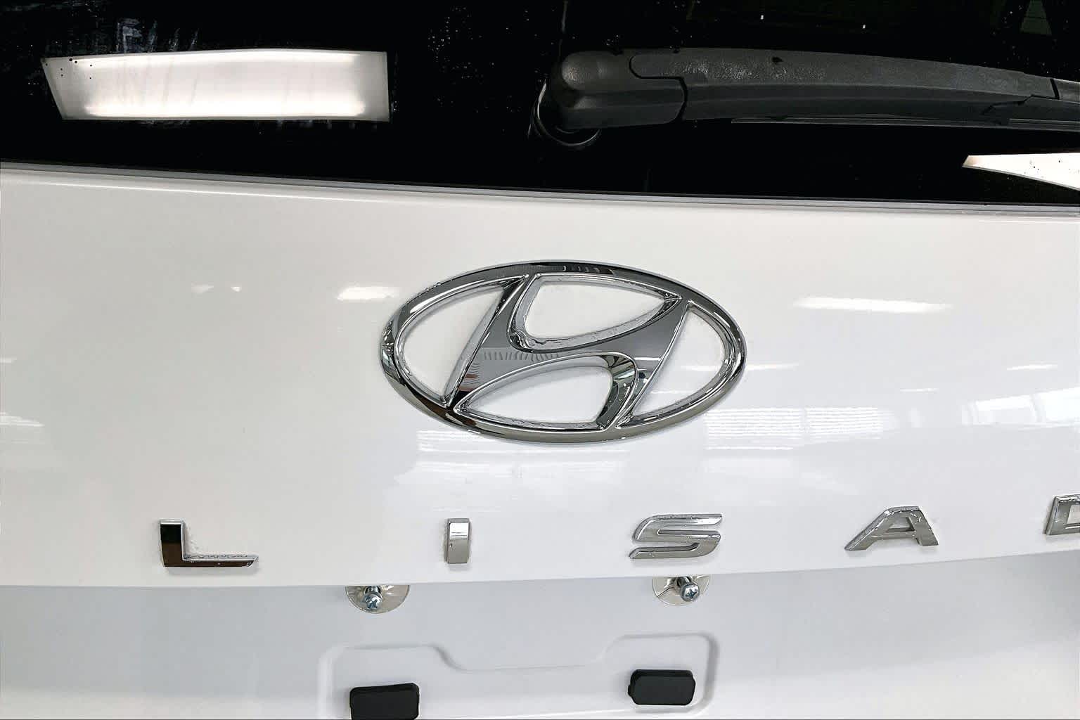 Thumbnail: 2020 Hyundai Palisade - 7