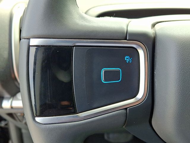 2025 Ford Expedition Active - Photo 22