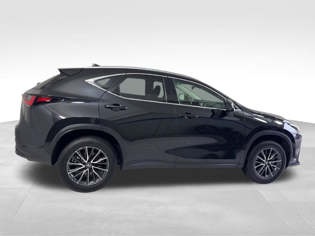 2024 Lexus NX 250 - Photo 6