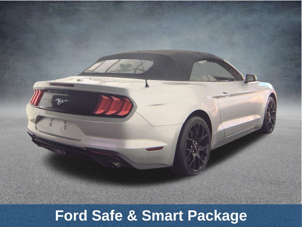 2019 Ford Mustang EcoBoost photo 3