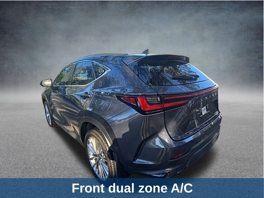 Thumbnail: 2025 Lexus NX - 11