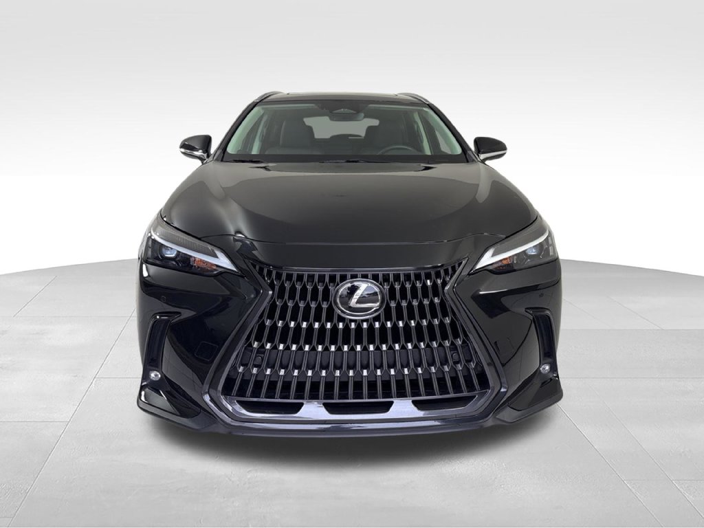 2024 Lexus NX 250 - Photo 8