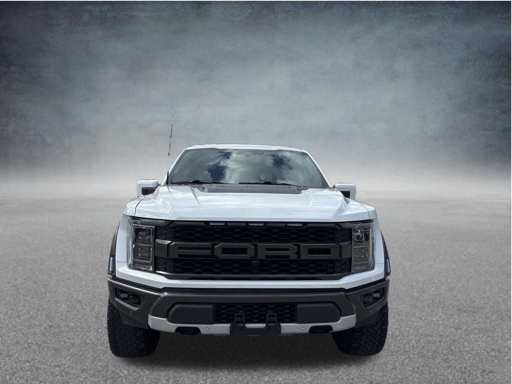 2023 Ford F-150 Raptor - Photo 8