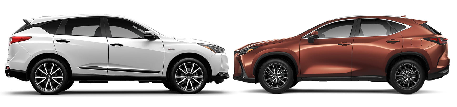 2026 Acura RDX compared to 2026 Lexus NX for Palm Beach, FL area luxury SUV shoppers.