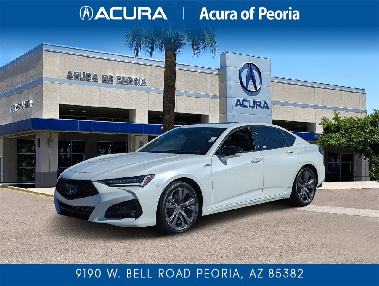 2023 Acura TLX A-SPEC Package's photo