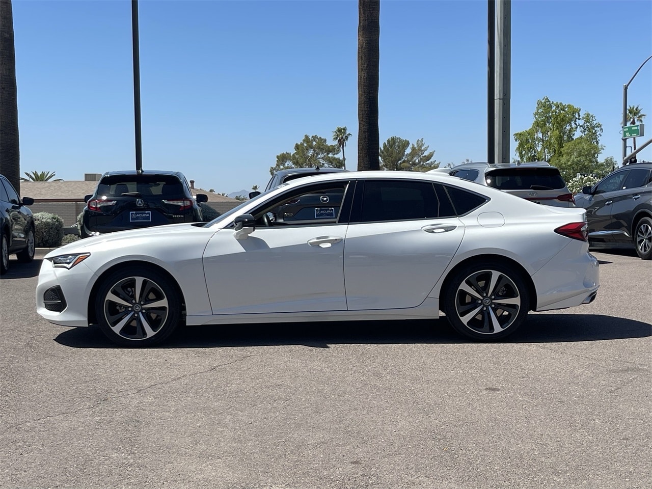 Certified 2025 Acura TLX Technology Package with VIN 19UUB5F43SA000589 for sale in Peoria, AZ