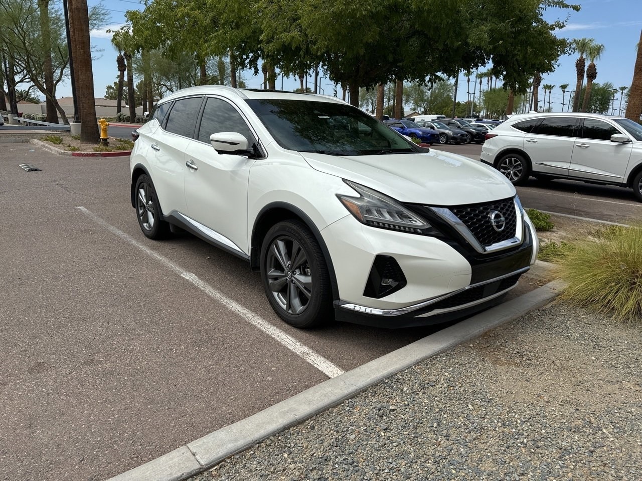 Used 2019 Nissan Murano Platinum with VIN 5N1AZ2MJ7KN150844 for sale in Peoria, AZ