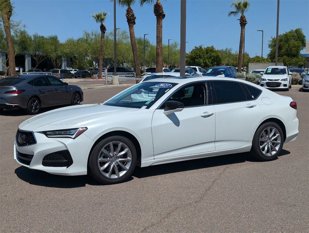 Certified 2023 Acura TLX Base with VIN 19UUB5F30PA006932 for sale in Peoria, AZ