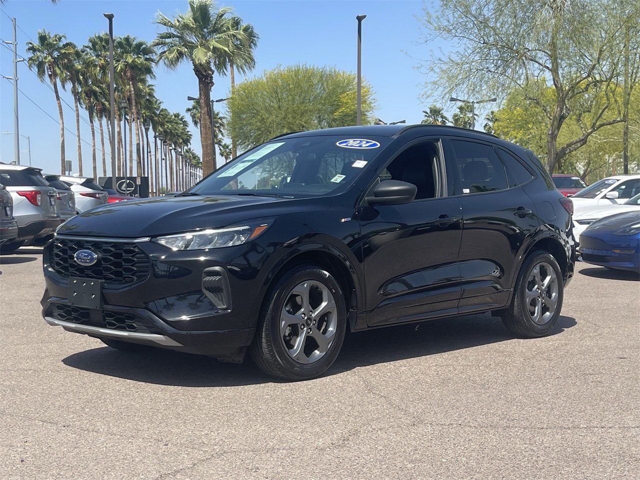 Used 2024 Ford Escape ST-Line with VIN 1FMCU0MN9RUA25276 for sale in Peoria, AZ