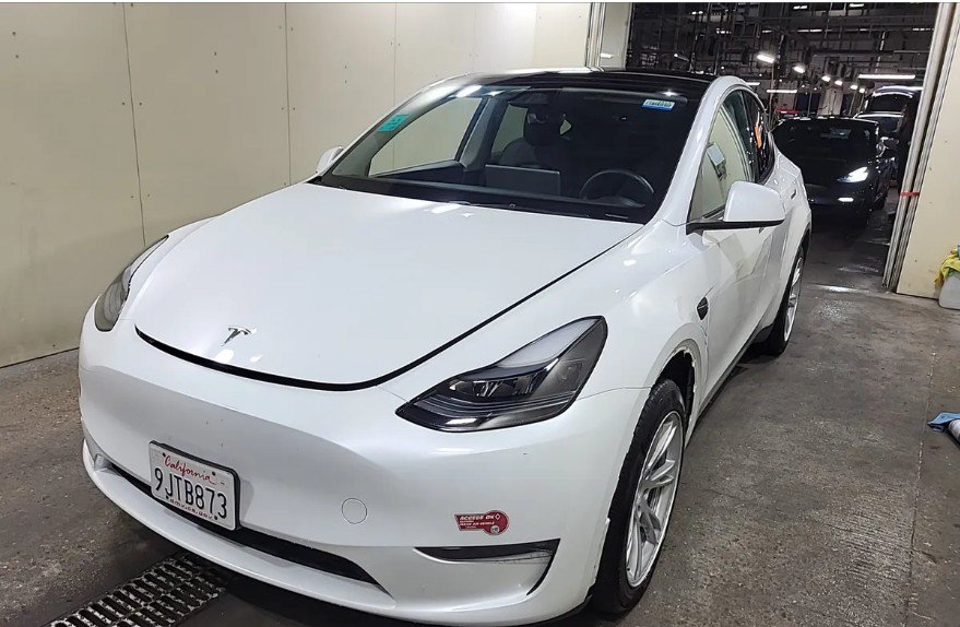 2023 Tesla Model Y