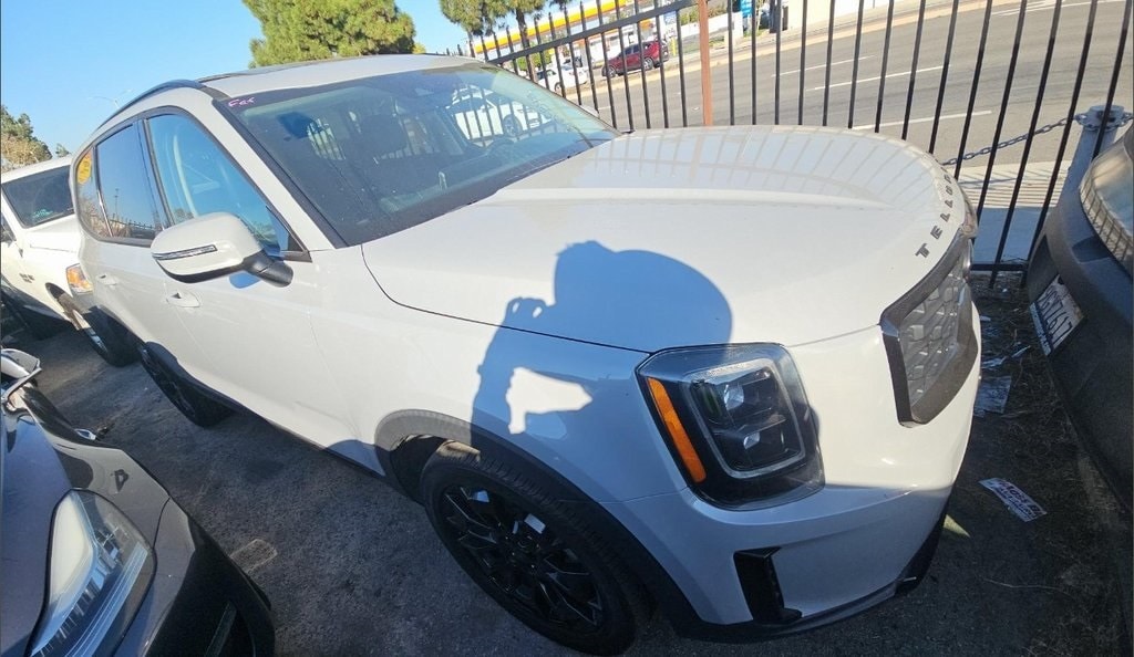 2021 Kia Telluride EX's photo