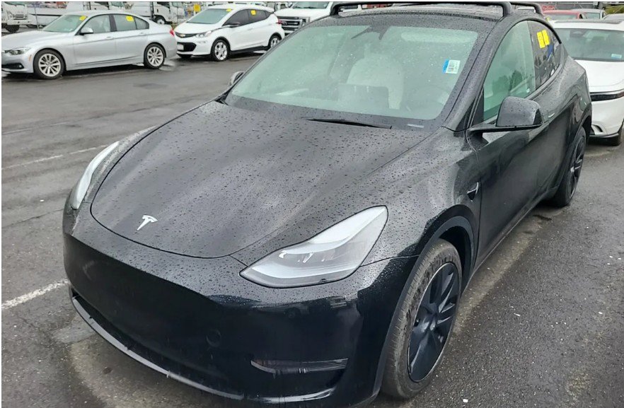 2024 Tesla Model Y