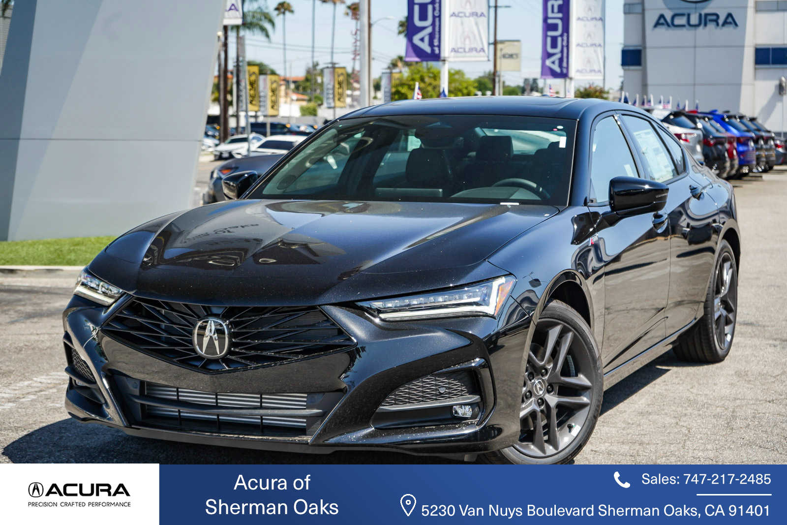 Thumbnail: 2025 Acura TLX - 1