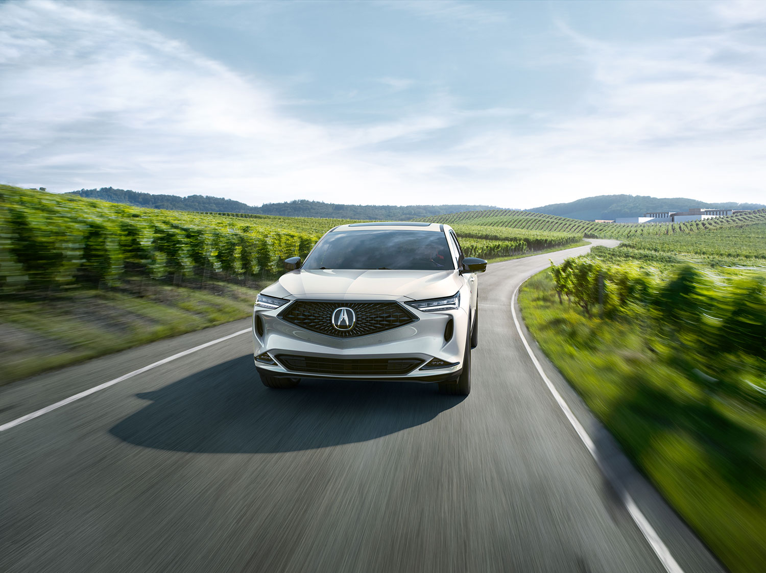 Acura%20MDX%20on%20Summer%20Drive.jpg