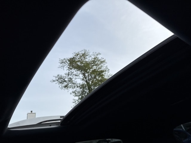 View 41
