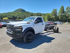 2025 Ram 5500 Chassis Cab 5500 TRADESMAN CHASSIS REGULAR CAB 4X4 120' CA Pickup