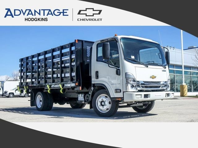 2024 Chevrolet Low Cab Forward's photo