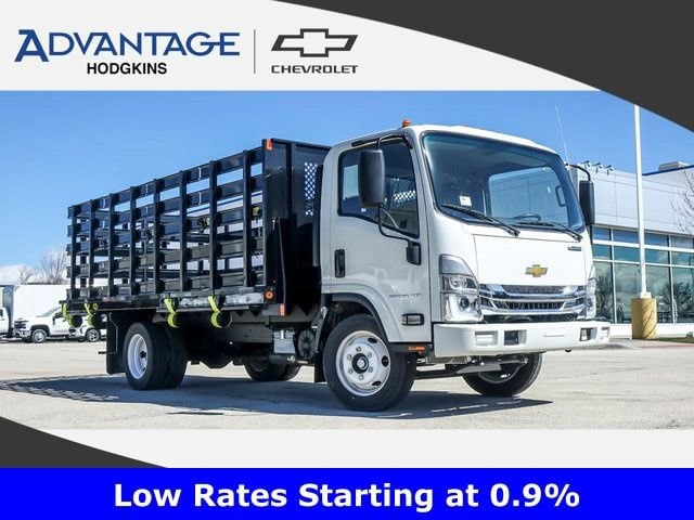 2024 Chevrolet Low Cab Forward's photo