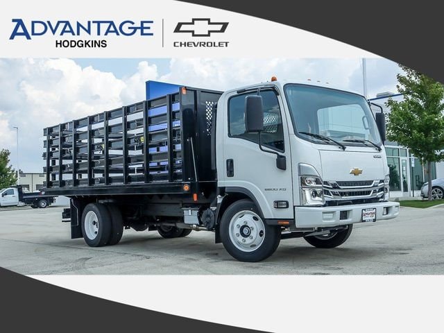 2024 Chevrolet Low Cab Forward's photo