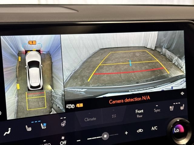 2025 Lexus RX 350 - Photo 19
