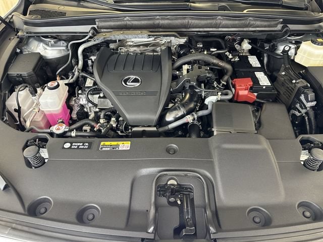 2025 Lexus RX 350 - Photo 30