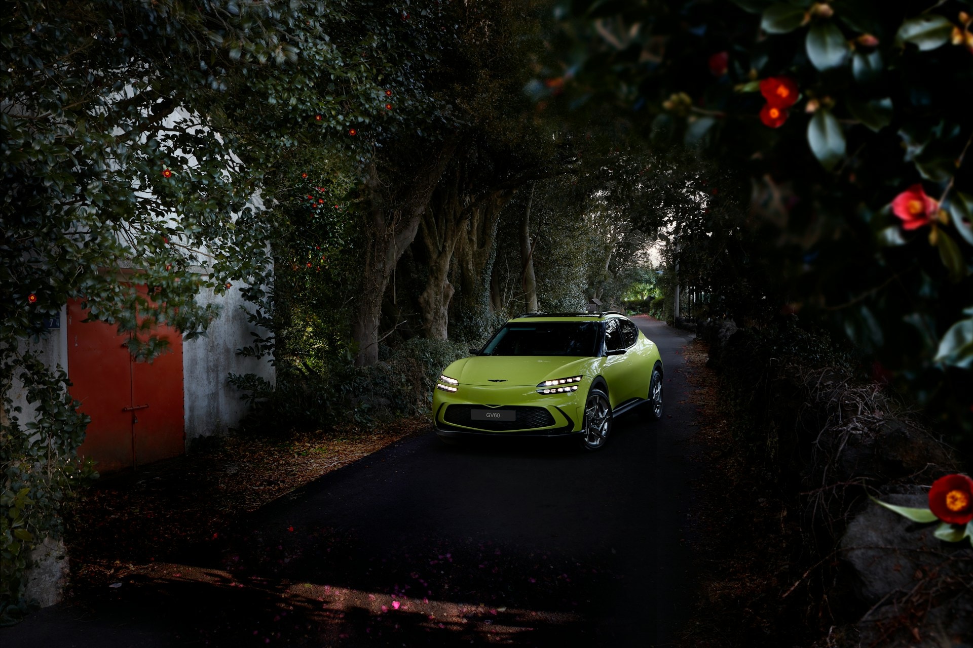 hyundai-motor-group-jItbiD8YjUE-unsplash.jpg