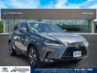 Used 2019 Lexus NX 300  SUV