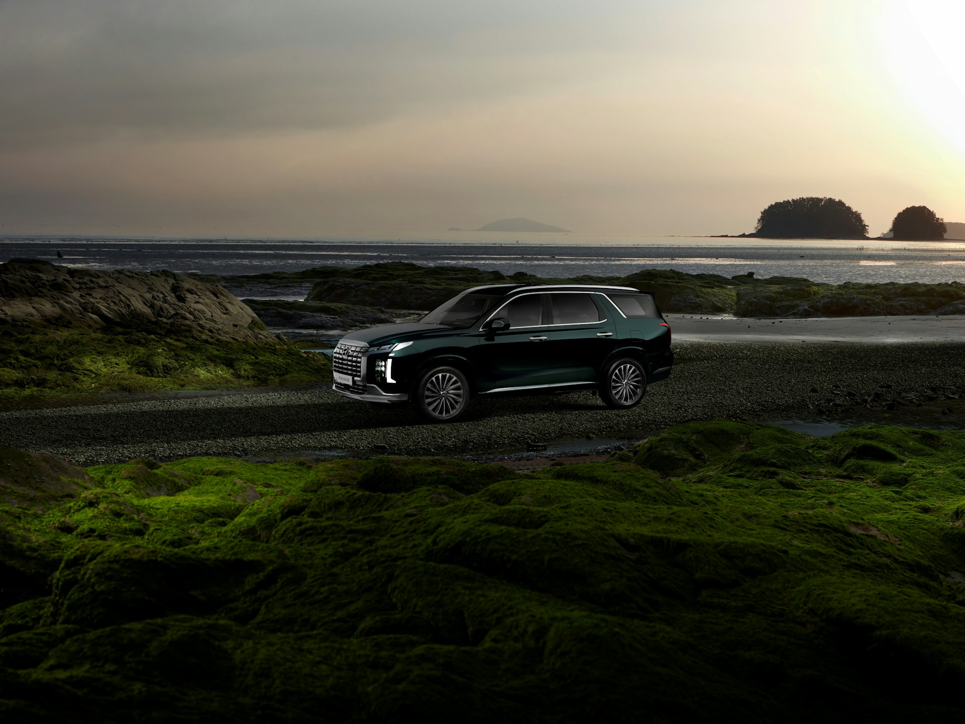 hyundai-motor-group-ZKsL2C-uOpc-unsplash%20(1).jpg